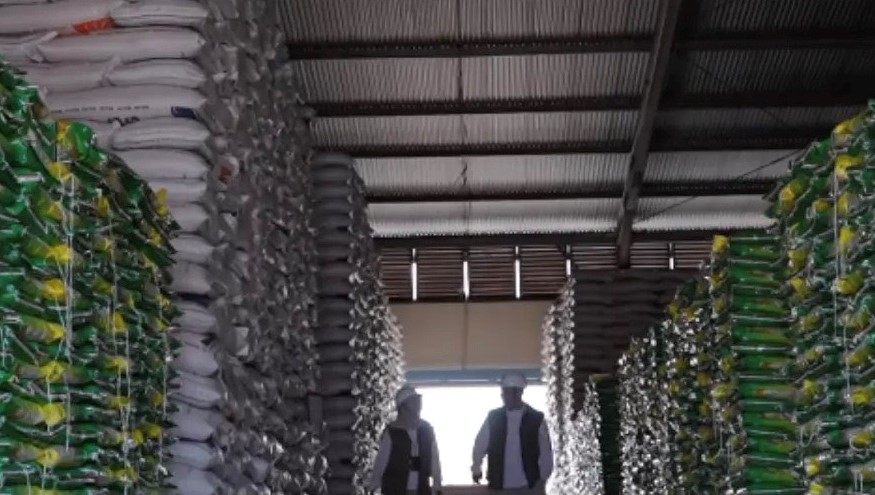 Ilustrasi persedian beras di Gudang Beras Bulog/Foto:Perum Bulog