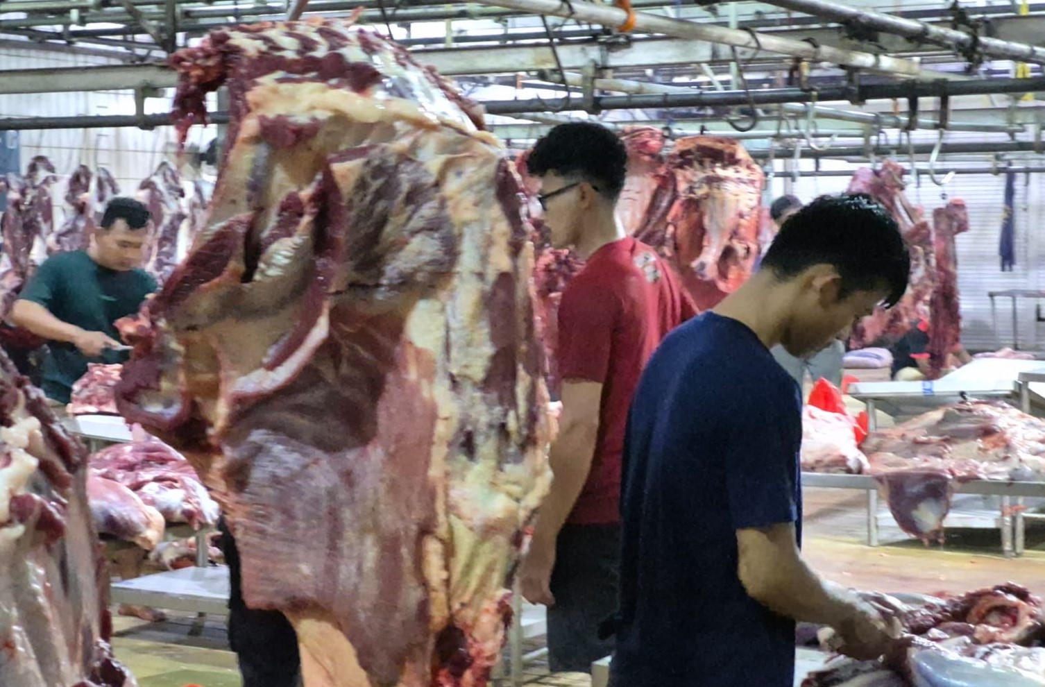 Pemerintah memperketat pengawasan harga sapi hidup di RPH setelah ditemukan indikasi penjualan di atas ketentuan menjelang Ramadan dan Idulfitri 2026.