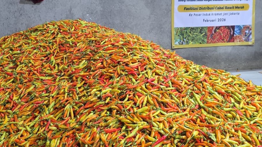 Harga pangan awal pekan masih tinggi: cabai rawit merah Rp83.150/kg, beras super Rp16.900/kg, daging sapi Rp146.550/kg. Bawang, minyak goreng, dan gula juga ikut naik.