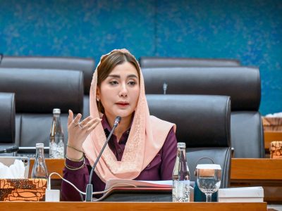 Novita Hardini saat RDP Panja industri film di DPR RI