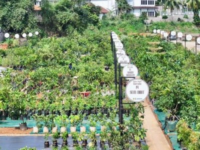 Produk unggulan petani lokal di Pasar Petani Garuda