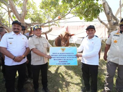 Mendagri Tito Karnavian menyerahkan bantuan sapi dari Presiden Prabowo kepada masyarakat Aceh/Foto: Humas Kemendag