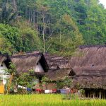 Rumah-rumah tradisional Sunda berderet di Kampung Naga dengan atap ijuk dan bilik bambu, dikelilingi rimbunnya pepohonan dan lereng bukit