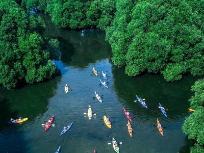 Pemandangan udara jalur jembatan kayu di antara rimbunnya hutan bakau di Taman Wisata Alam Mangrove Angke Kapuk, Jakarta Utara