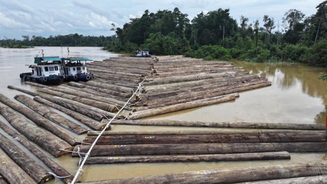 Rakit kayu gelondongan di Sungai Kapuas, Kalimantan Tengah yang viral di media sosial