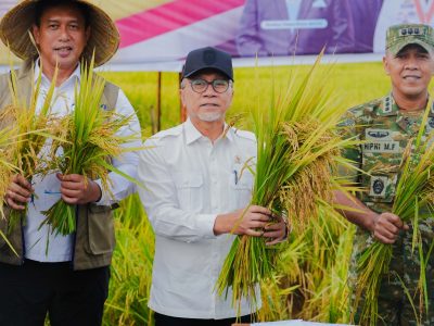 Pangan Zulkifli Hasan dan Dirut Bulog Ahmad Rizal Ramdhani saat menghadiri acara Panen Raya dan Peluncuran Penyerapan Gabah di Maros, Sulawesi Selatan