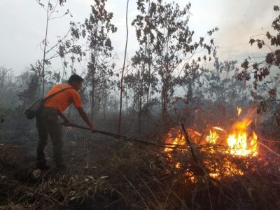 Petugas BPBD Siak melakukan pemadaman kebakaran lahan gambut di wilayah terdampak karhutla.
