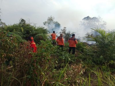 Tim gabungan BPBD TNI Polri dan Manggala Agni padamkan karhutla di Pulau Mendol Kabupaten Pelalawan Riau