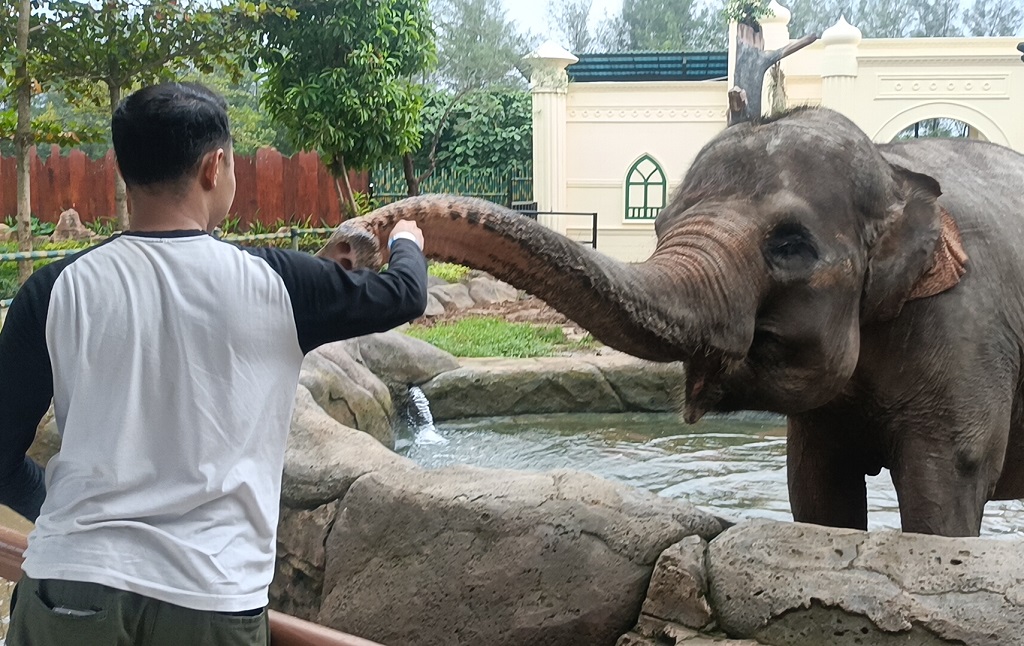 Safari Beach Batang hadirkan tema kampung halaman Ramadan dengan hiburan tradisi, menu nusantara, dan Ngabuburit Bareng Satwa.