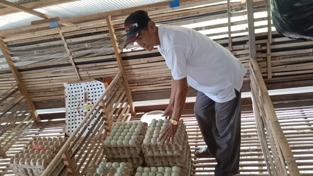 Sebanyak 148 Koperasi Desa/Kelurahan Merah Putih (KDKMP) di Kabupaten Hulu Sungai Selatan (HSS) telah resmi terbentuk secara legal dan formal/Foto: Istimewa