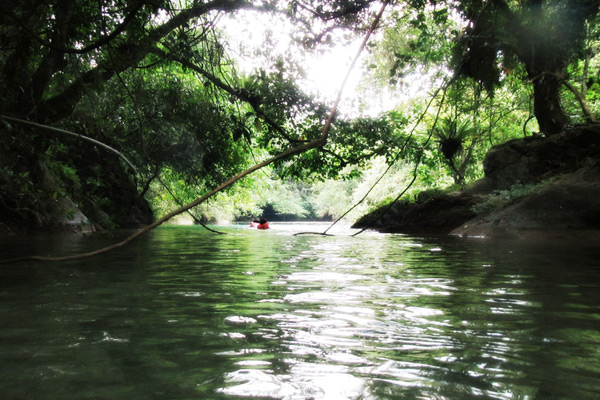 Keindahan Sungai Citumang dengan air jernih berwarna hijau kebiruan diapit pepohonan rimbun di kawasan hutan Pangandaran