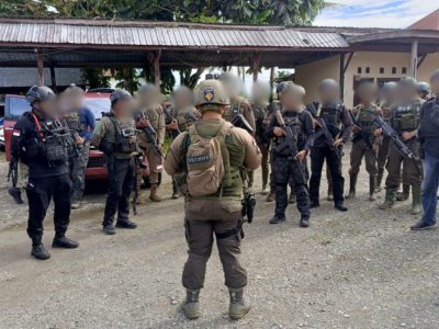 Satgas Damai Cartenz