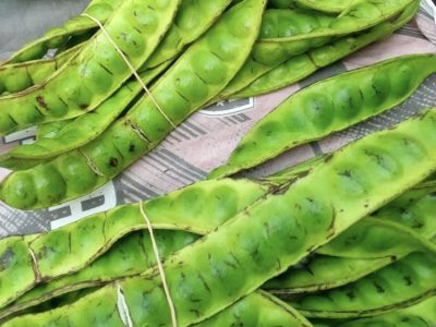 Pete tetap menjadi primadona kuliner bagi sebagian masyarakat meski meninggalkan aroma khas yang menyengat pada rongga mulut/Foto: Istimewa