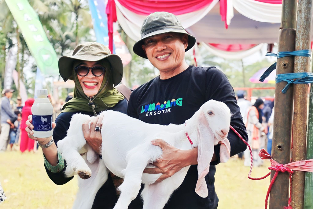 Susu Kambing Senduro Lumajang raih Indikasi Geografis sebagai produk unggulan daerah.