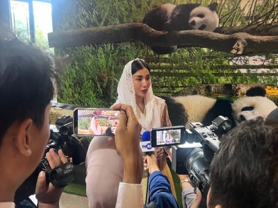 Anggota Komisi VII DPR Novita Hardini saat kunjungan spesifik ke Taman Safari Indonesia Bogor, Senin (13/4/2026).