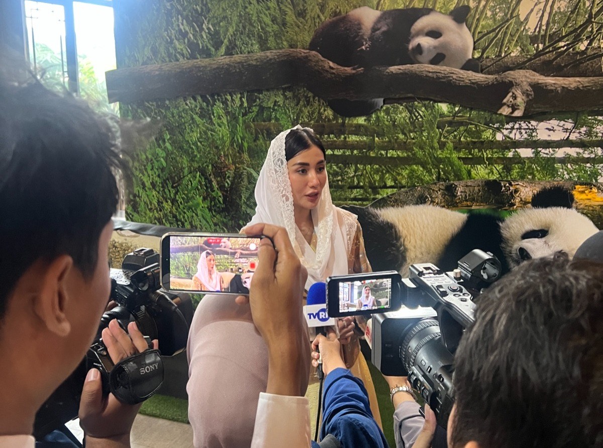 Anggota Komisi VII DPR Novita Hardini saat kunjungan spesifik ke Taman Safari Indonesia Bogor, Senin (13/4/2026).