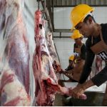 Menjelang Hari Raya Iduladha 1447 Hijriah, Dinas Pertanian dan Ketahanan Pangan (Distanketpang) Kota Palangka Raya membuka layanan pemotongan hewan kurban melalui Unit Pelaksana Teknis Daerah (UPTD) Rumah Potong Hewan (RPH)/Foto: Media Center Palangka Raya