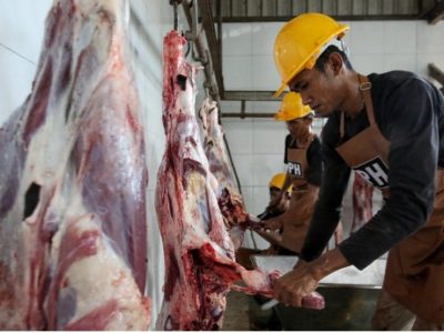 Menjelang Hari Raya Iduladha 1447 Hijriah, Dinas Pertanian dan Ketahanan Pangan (Distanketpang) Kota Palangka Raya membuka layanan pemotongan hewan kurban melalui Unit Pelaksana Teknis Daerah (UPTD) Rumah Potong Hewan (RPH)/Foto: Media Center Palangka Raya
