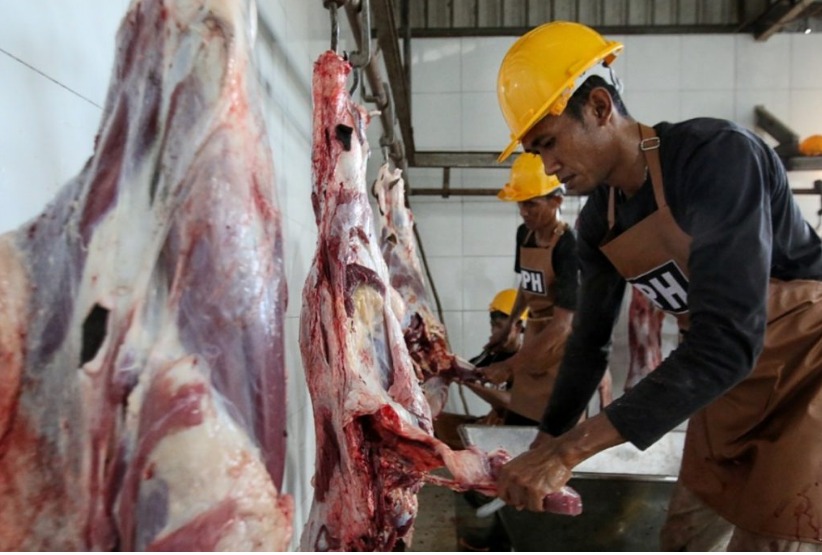 Menjelang Hari Raya Iduladha 1447 Hijriah, Dinas Pertanian dan Ketahanan Pangan (Distanketpang) Kota Palangka Raya membuka layanan pemotongan hewan kurban melalui Unit Pelaksana Teknis Daerah (UPTD) Rumah Potong Hewan (RPH)/Foto: Media Center Palangka Raya