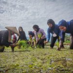 Wisatawan yang berkunjung ke Desa Wisata Cibeusi dapat belajar bertani langsung dari warga, mulai dari menanam padi hingga membajak sawah dengan kerbau/Foto: Disparbud Jabar
