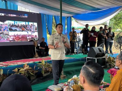 Wakil Menteri Pertanian Sudaryono menggunakan rice transplanter saat Gerakan Tanam Padi Serentak di Jambi