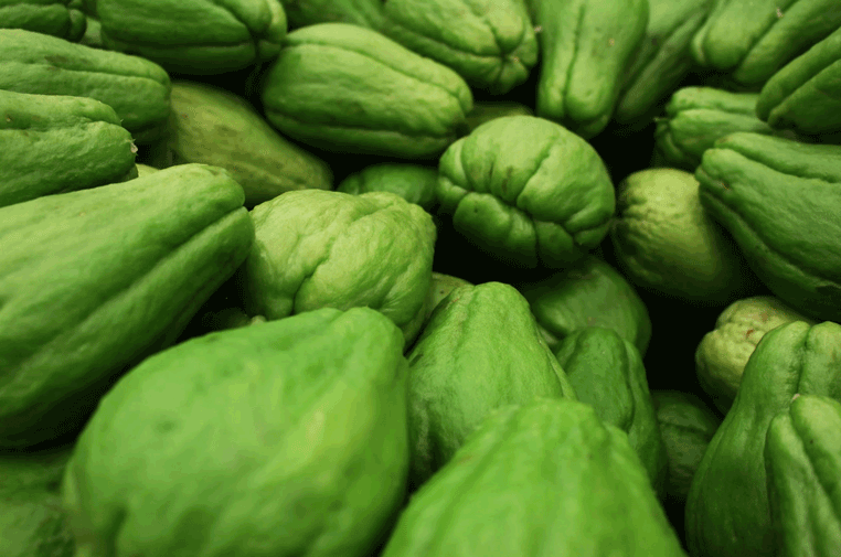 Segudang manfaat labu siam rebus mulai dari menjaga kesehatan jantung, otak, hingga asupan asam folat yang sangat baik bagi ibu hamil/Foto: Istimewa