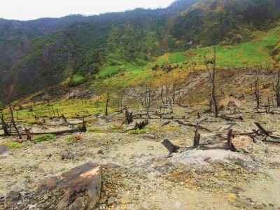 Hutan mati menjadi bagian yang dapat disaksikan saat berkunjung ke Kawah Papandayan/Foto: Indonesia Kaya