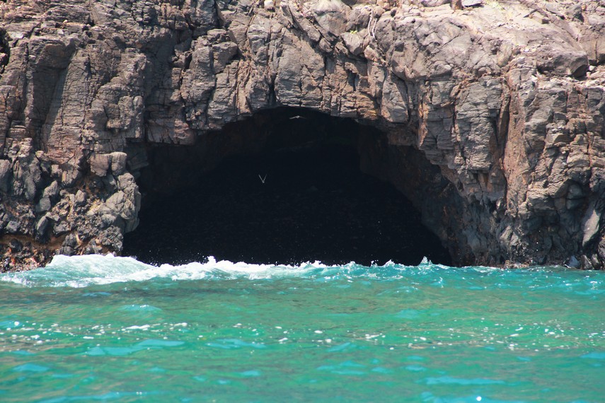 Gua Tungku di Pulau Sangiang, Banten. Tebing curam 90 derajat, fenomena hiu mangsa kelelawar. Waktu terbaik Mei-Agustus.