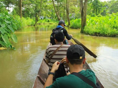 Cagar Alam Rawa Danau, hutan air tawar terbesar di Pulau Jawa seluas 2.000 hektare. Nikmati perjalanan sampan, gerombolan kera, dan burung bangau putih di Serang, Banten.