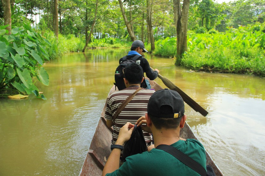 Cagar Alam Rawa Danau, hutan air tawar terbesar di Pulau Jawa seluas 2.000 hektare. Nikmati perjalanan sampan, gerombolan kera, dan burung bangau putih di Serang, Banten.