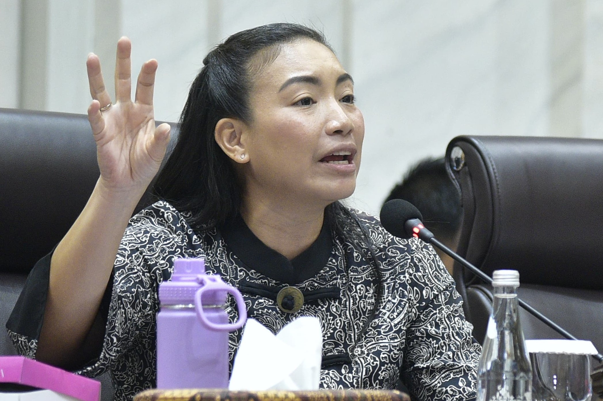 Wakil Ketua Komisi VII DPR RI, Rahayu Saraswati, saat memimpin Rapat Dengar Pendapat Umum (RDPU)
