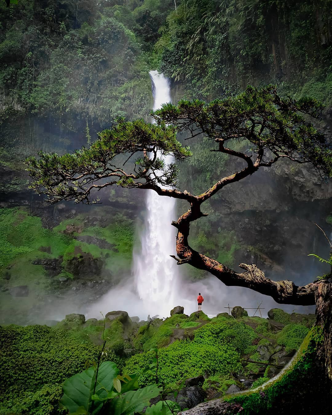 Curug Ciparay di Tasikmalaya menawarkan air terjun kembar setinggi 55 dan 75 meter.