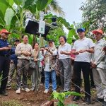 Stasiun GIES pertama di Indonesia dipasang di Lumajang untuk melindungi Pisang Mas Kirana. Teknologi IoT ini melacak asal produk, dari harga Rp1.600/kg kini tembus ekspor/Foto: DKPP Lumajang