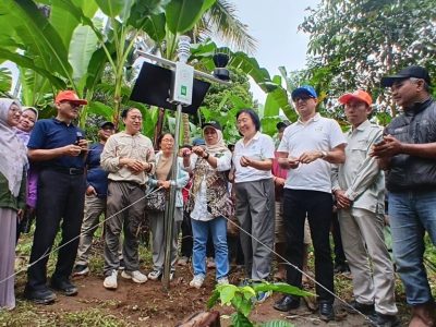 Stasiun GIES pertama di Indonesia dipasang di Lumajang untuk melindungi Pisang Mas Kirana. Teknologi IoT ini melacak asal produk, dari harga Rp1.600/kg kini tembus ekspor/Foto: DKPP Lumajang