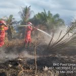 Kebakaran hutan dan lahan di Riau masih meluas hingga 30 Mei 2026. Titik api di Pelalawan terpantau asap tebal dari drone, petugas berjibaku di Kandis dan Rokan Hilir/Foto: Istimewa