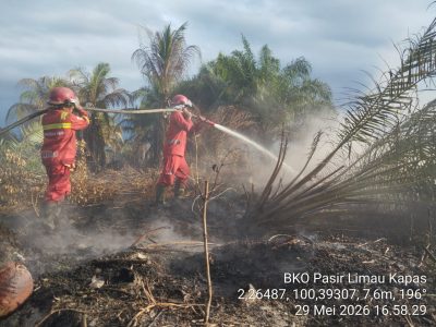 Kebakaran hutan dan lahan di Riau masih meluas hingga 30 Mei 2026. Titik api di Pelalawan terpantau asap tebal dari drone, petugas berjibaku di Kandis dan Rokan Hilir/Foto: Istimewa