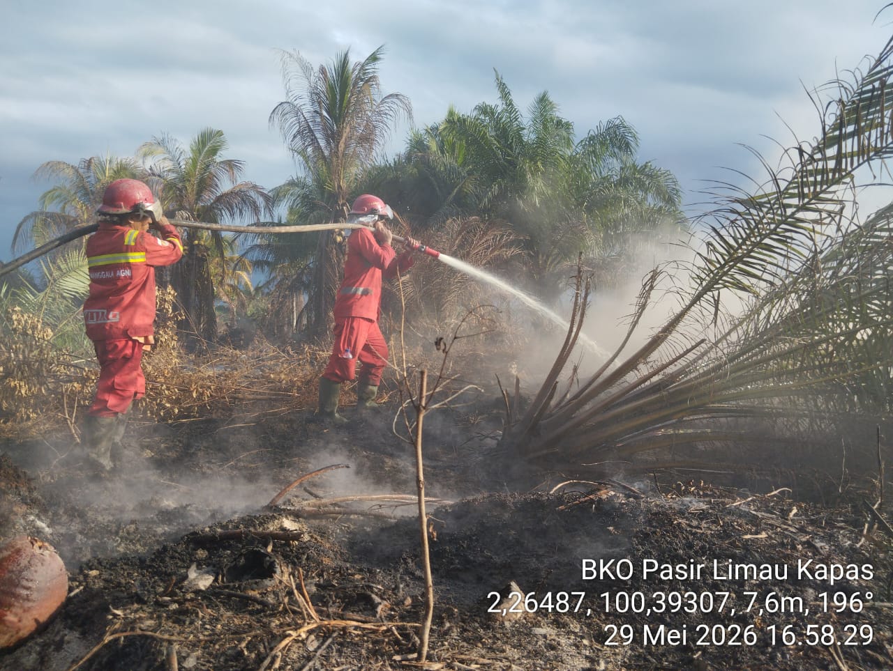 Kebakaran hutan dan lahan di Riau masih meluas hingga 30 Mei 2026. Titik api di Pelalawan terpantau asap tebal dari drone, petugas berjibaku di Kandis dan Rokan Hilir/Foto: Istimewa