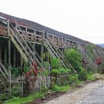 Rumah Betang Dayak Kanayatn di Landak, Kalbar, berdiri sejak 1875. Panjang 186 meter, 35 pintu, dihuni 150 jiwa. Arsitektur dari kayu ulin dengan kolong 4 meter.