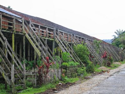 Rumah Betang Dayak Kanayatn di Landak, Kalbar, berdiri sejak 1875. Panjang 186 meter, 35 pintu, dihuni 150 jiwa. Arsitektur dari kayu ulin dengan kolong 4 meter.