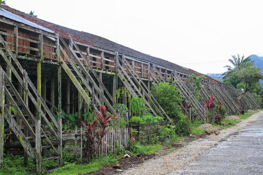 Rumah Betang Dayak Kanayatn di Landak, Kalbar, berdiri sejak 1875. Panjang 186 meter, 35 pintu, dihuni 150 jiwa. Arsitektur dari kayu ulin dengan kolong 4 meter.