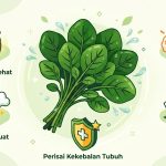 Selada air, sayuran dengan skor sempurna dari CDC, kaya vitamin K dan antioksidan. Studi ilmiah membuktikan manfaatnya melawan kanker hingga penyakit jantung/Ilustrasi: Indoragamnewscom