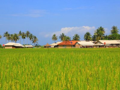 Desa Sawarna di Lebak, Banten, menyimpan Pantai Pasir Putih, Tanjung Layar, Gua Lalay, hingga Pulo Burung. Primadona wisata sejak 1990-an.