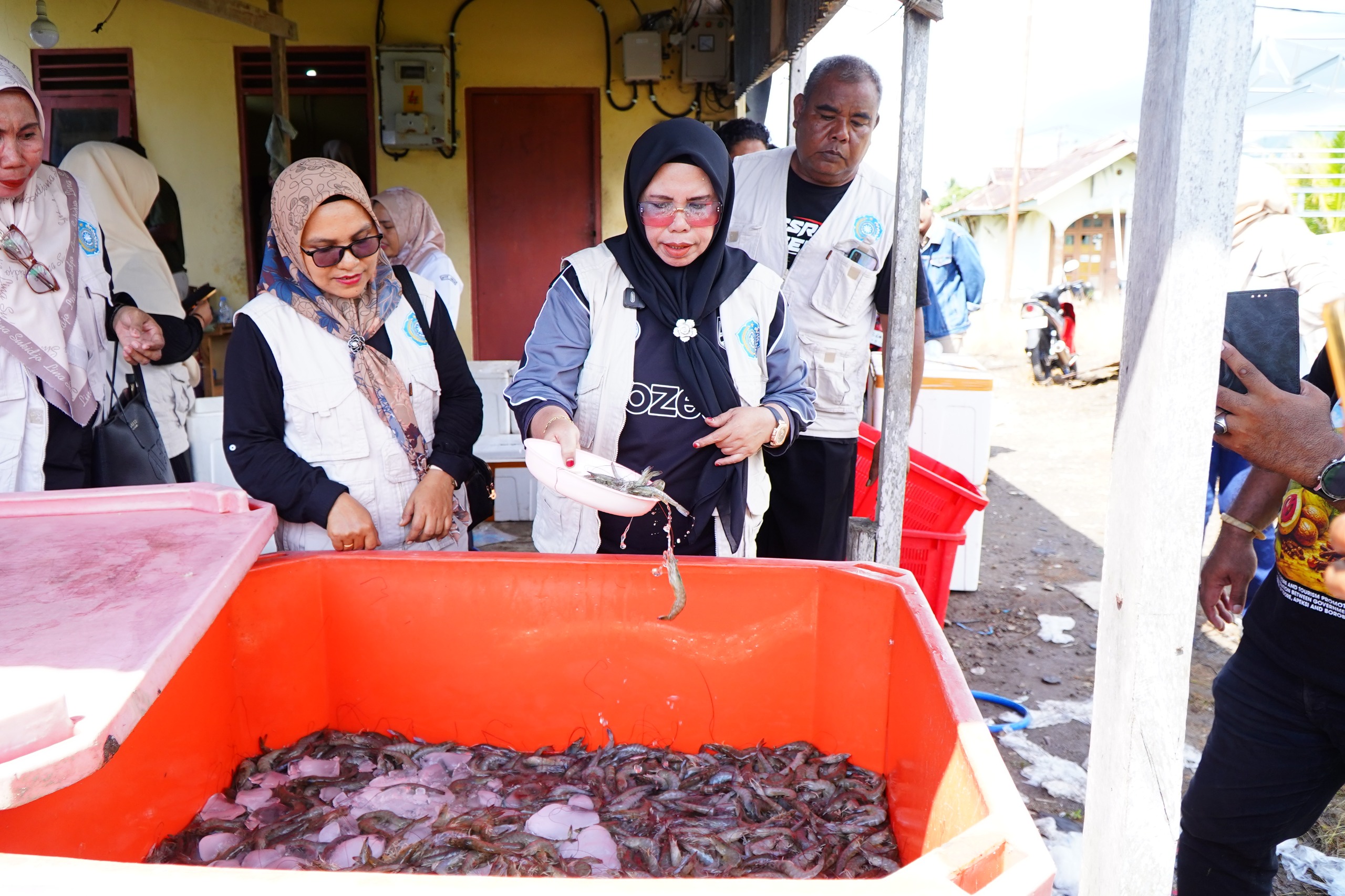 Ketua Tim Penggerak PKK Kota Tidore Kepulauan, Rahmawati Muhammad Sinen saat menghadiri proses panen ke 3 udang vaname yang dikelola kelompok pembudidaya ikan dan udang Kelurahan Dowora/Foto: Media Center Tidore