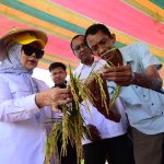 Wagub Gorontalo Idah Syahidah sebut teknologi prebiotik zero waste pangkas biaya produksi padi dari Rp2 juta jadi Rp500 ribu. Gabah lebih berisi, tanah tetap subur untuk tanam berkelanjutan/Foto: Media Center Gorontalo
