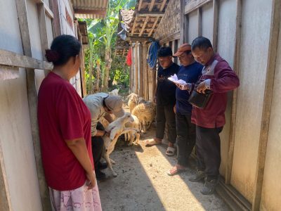 Lasmini warga Bojonegoro kembangkan bantuan dua ekor kambing dari Pemkab menjadi tujuh ekor. Program Domba Kesejahteraan dorong pemberdayaan ekonomi/Foto: Media Center Bojonegoro