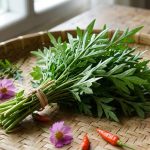 Daun kenikir kaya vitamin A, C, kalsium, dan antioksidan. Manfaatnya: tingkatkan vitalitas pria, dukung kesuburan wanita, jaga kesehatan prostat, keseimbangan hormon, dan kulit/Ilustrasi: Indoragamnewscom
