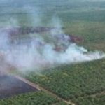 Polda Aceh dan BPBA patroli udara pantau titik karhutla di wilayah barat selatan Aceh menggunakan helikopter AW 169/Foto: Humas Polda Aceh