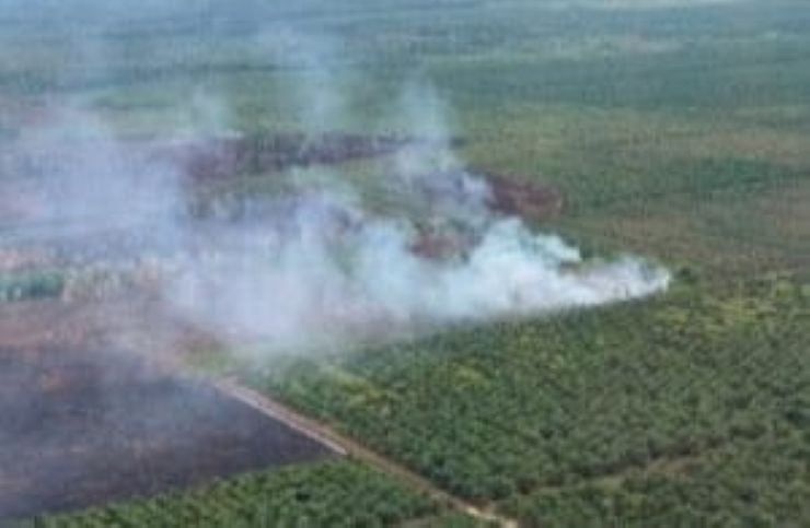 Polda Aceh dan BPBA patroli udara pantau titik karhutla di wilayah barat selatan Aceh menggunakan helikopter AW 169/Foto: Humas Polda Aceh