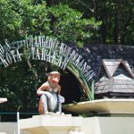 Hutan Mangrove Tarakan di Kalimantan Utara, kawasan konservasi bekantan di jantung kota. Hanya 5 menit dari pusat kota, lihat atraksi "Monyet Belanda" yang lincah.