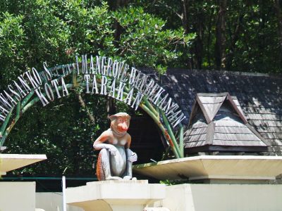 Hutan Mangrove Tarakan di Kalimantan Utara, kawasan konservasi bekantan di jantung kota. Hanya 5 menit dari pusat kota, lihat atraksi "Monyet Belanda" yang lincah.